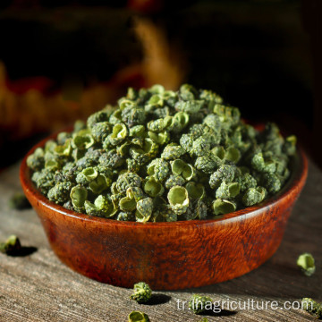 Toptan Yeşil Peppernns Sichuan Peppertree Pricklyash
